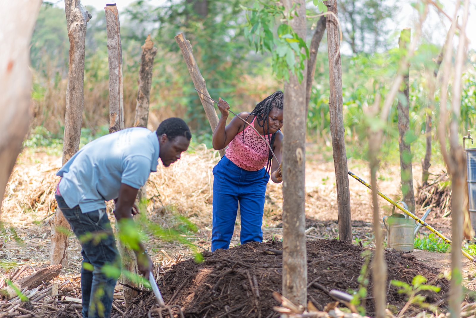 Compost Production Training
